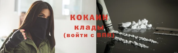 тгк Арсеньев