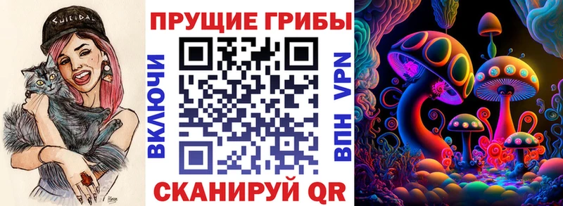 мега как зайти  Маркс  Псилоцибиновые грибы Magic Shrooms 